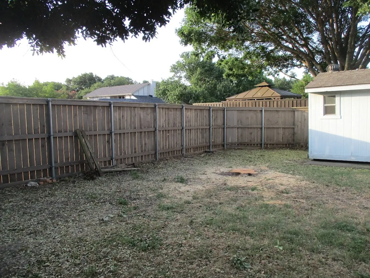 Cleared yard after professional tree removal in Willard
