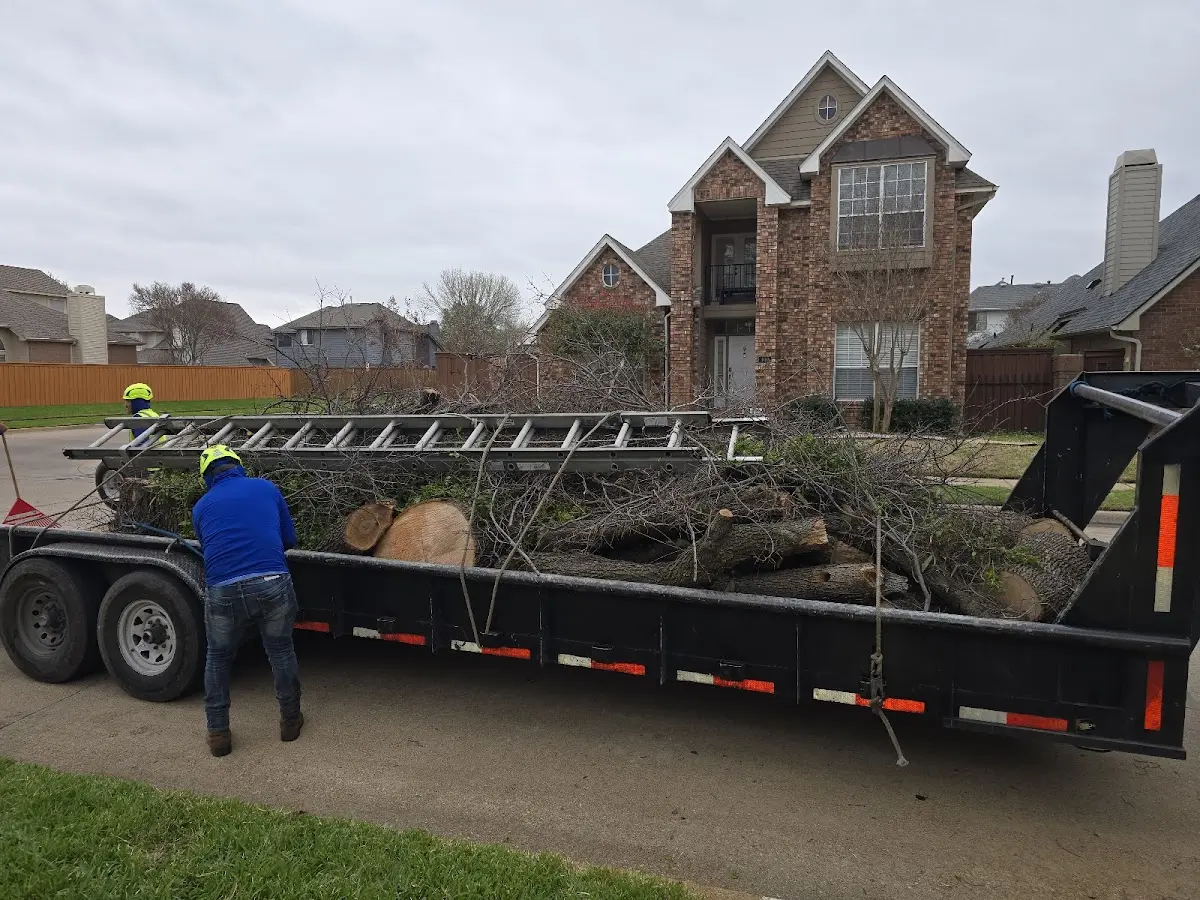 Expert Tree Fertilization with proper safety equipment in Willard